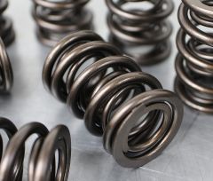 A Series Mini Racing Swiftune Double Valve Springs