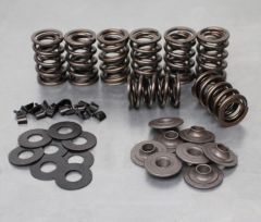 Race Valve Spring Bundles - Featherlight