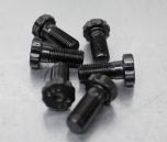 ARP Crown Wheel Bolts