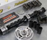 SW10 Billet Road Camshaft Spring Kit